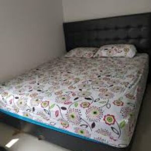 springbed1